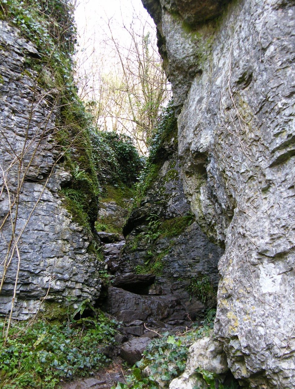 Ebbor Gorge